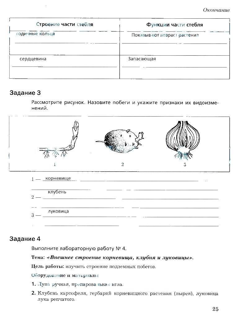 Задания на лето по биологии 6 класс Пономарева ответы. Биология 6 класс пономарева корнилова ответы