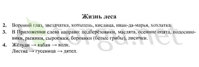 Страница (упражнение) Жизнь леса рабочей тетради. Страница Жизнь леса ГДЗ рабочая тетрадь по окружающему миру 4 класс Плешаков, Крючкова