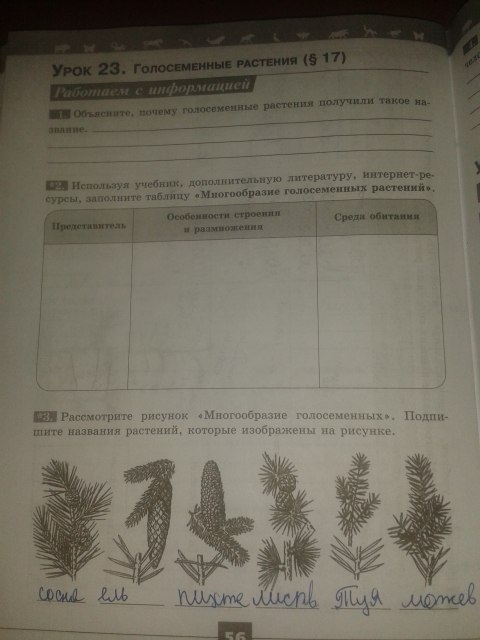 Биология 5 класс страница 106 ответы