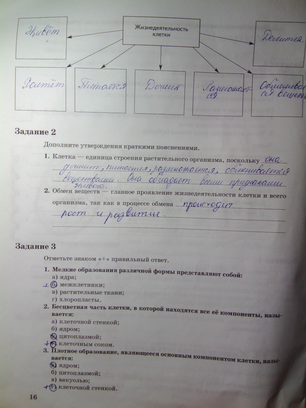 Страница (упражнение) 16 рабочей тетради. Страница 16 ГДЗ рабочая тетрадь по биологии 6 класс Пономарева