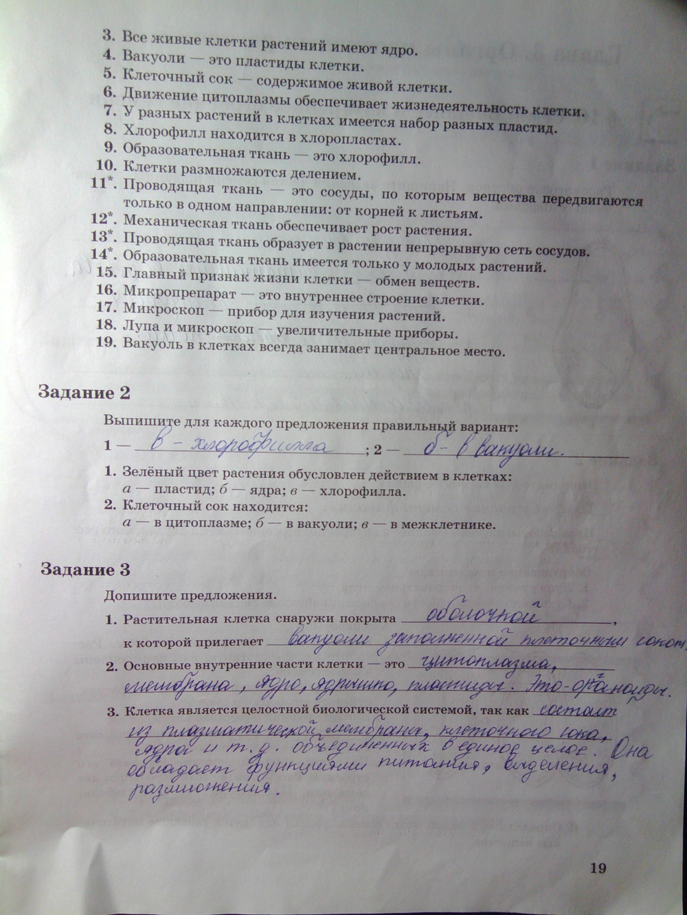 Страница (упражнение) 19 рабочей тетради. Страница 19 ГДЗ рабочая тетрадь по биологии 6 класс Пономарева