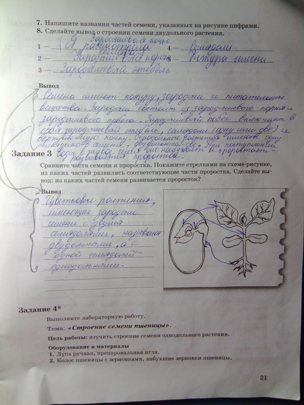 Страница (упражнение) 21 рабочей тетради. Страница 21 ГДЗ рабочая тетрадь по биологии 6 класс Пономарева
