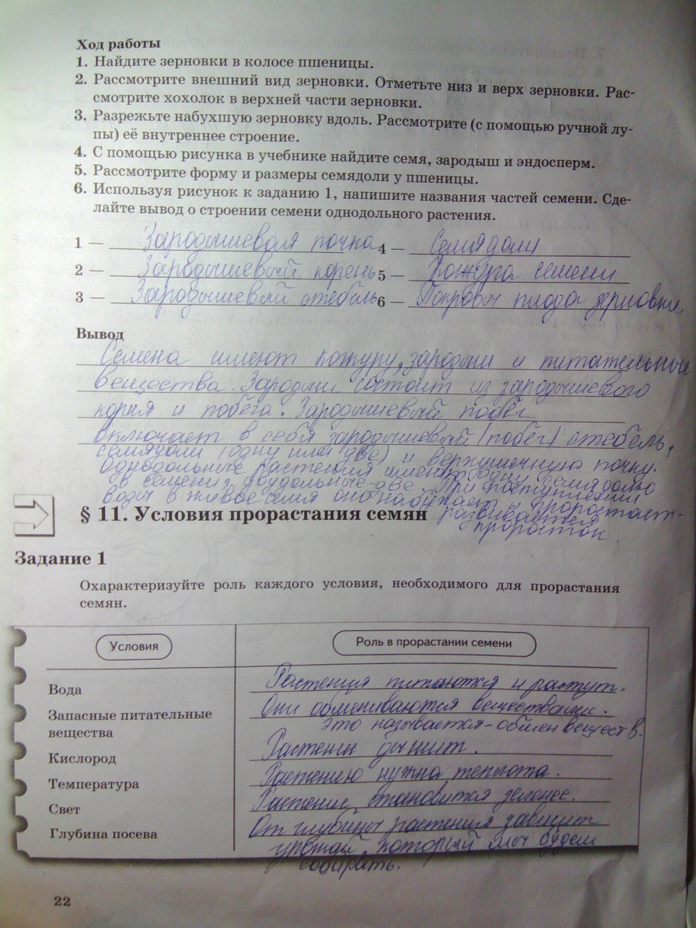 Страница (упражнение) 22 рабочей тетради. Страница 22 ГДЗ рабочая тетрадь по биологии 6 класс Пономарева