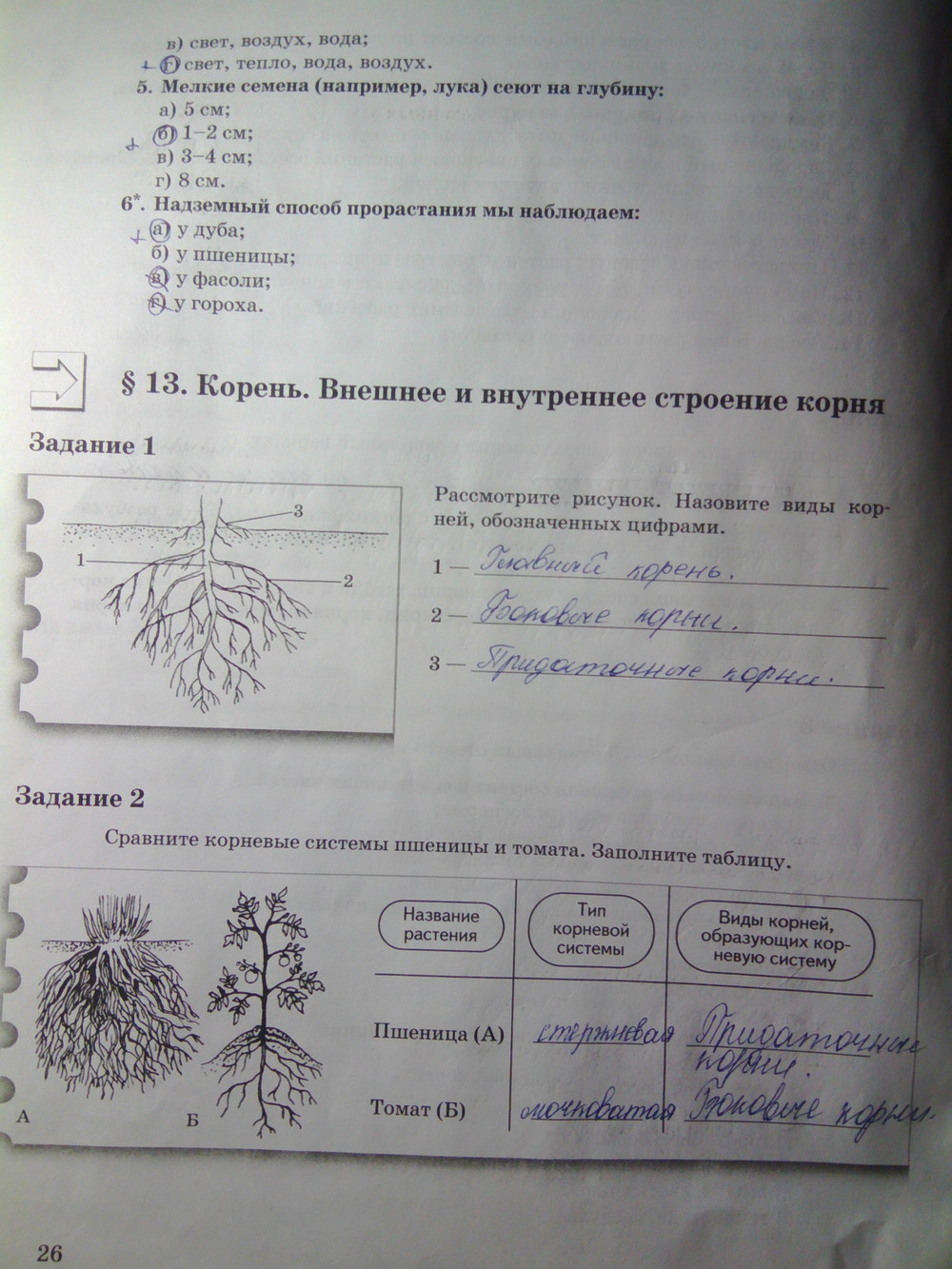 Страница (упражнение) 26 рабочей тетради. Страница 26 ГДЗ рабочая тетрадь по биологии 6 класс Пономарева