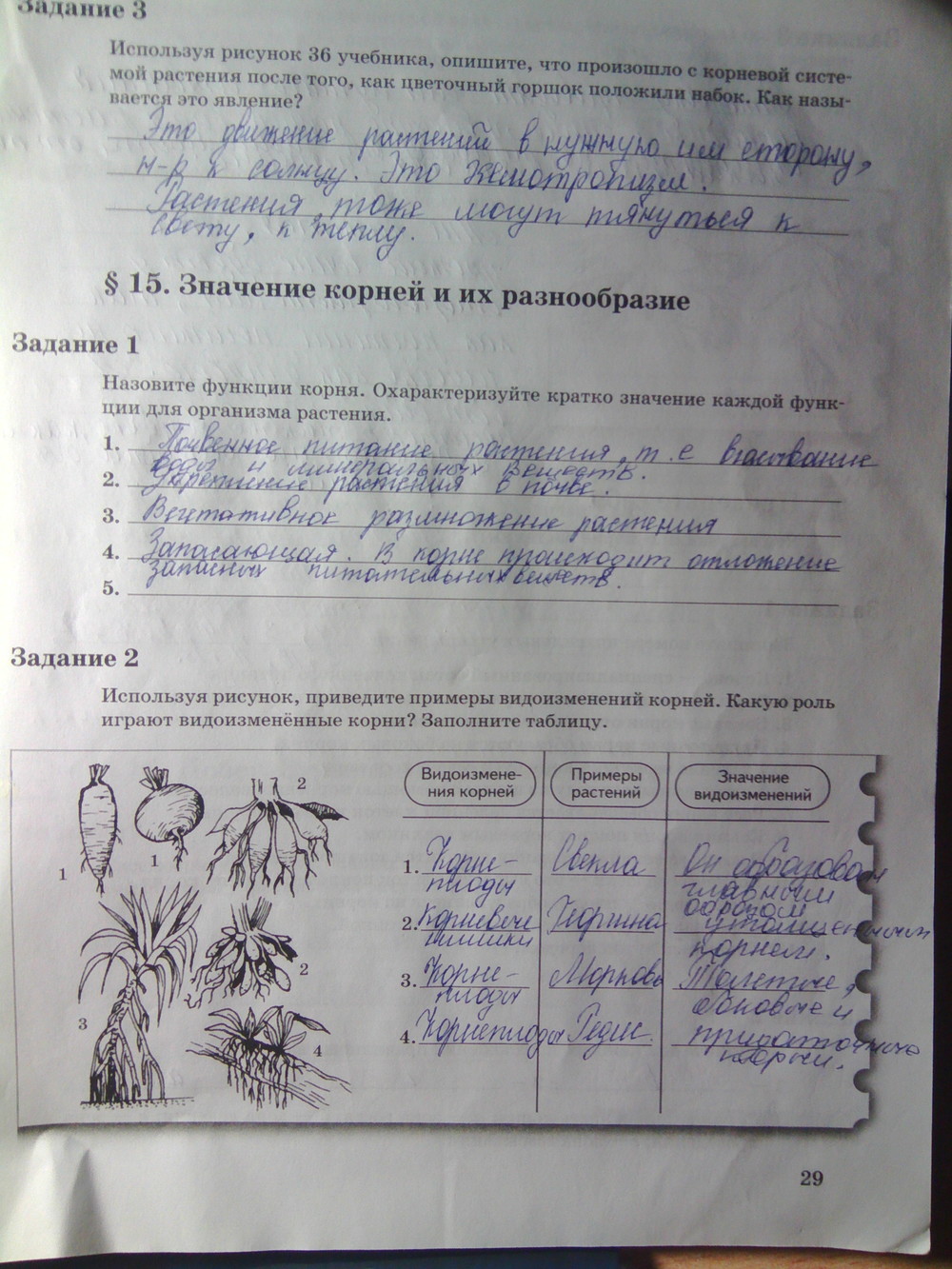 Страница (упражнение) 29 рабочей тетради. Страница 29 ГДЗ рабочая тетрадь по биологии 6 класс Пономарева