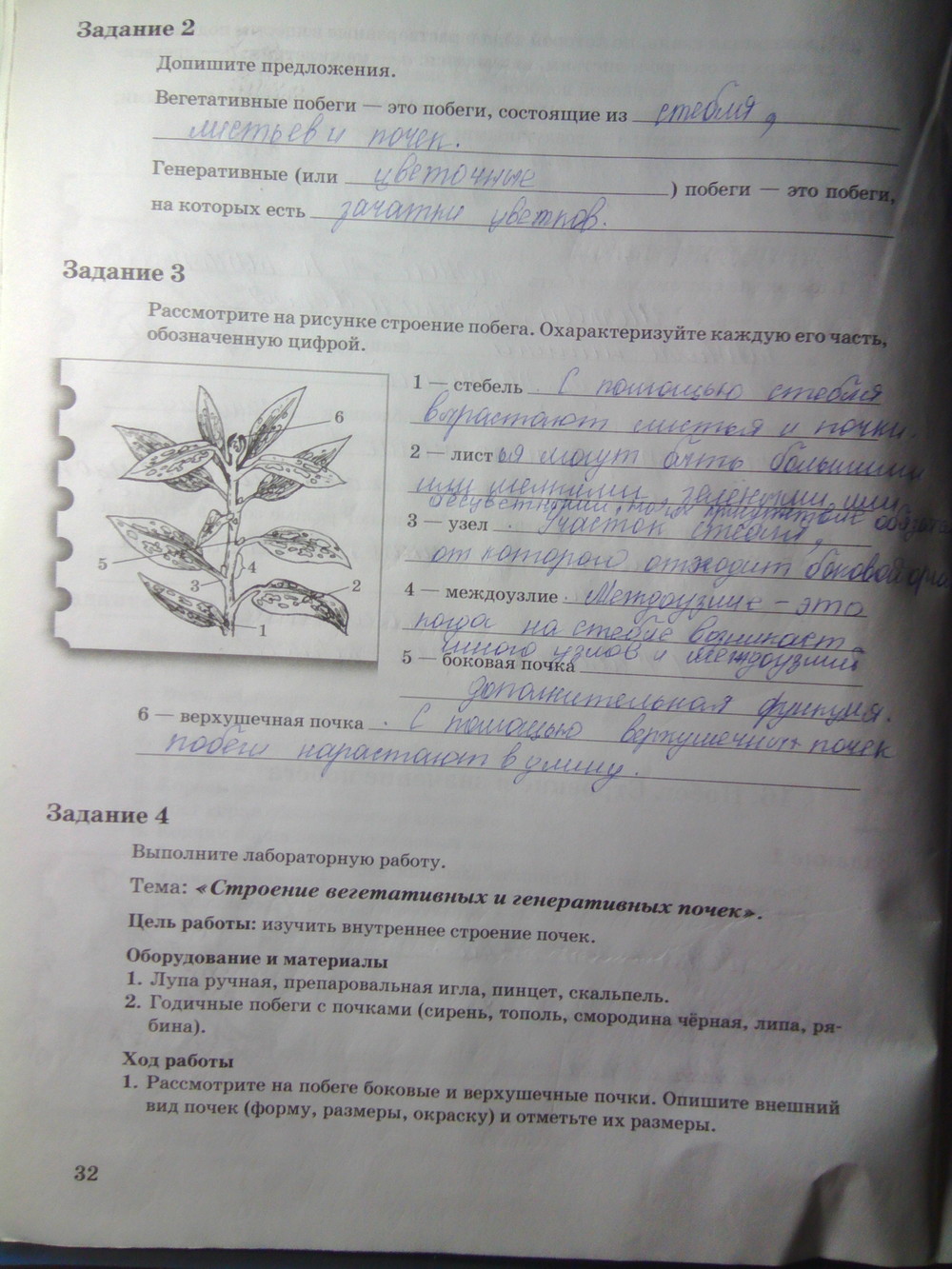 Страница (упражнение) 32 рабочей тетради. Страница 32 ГДЗ рабочая тетрадь по биологии 6 класс Пономарева