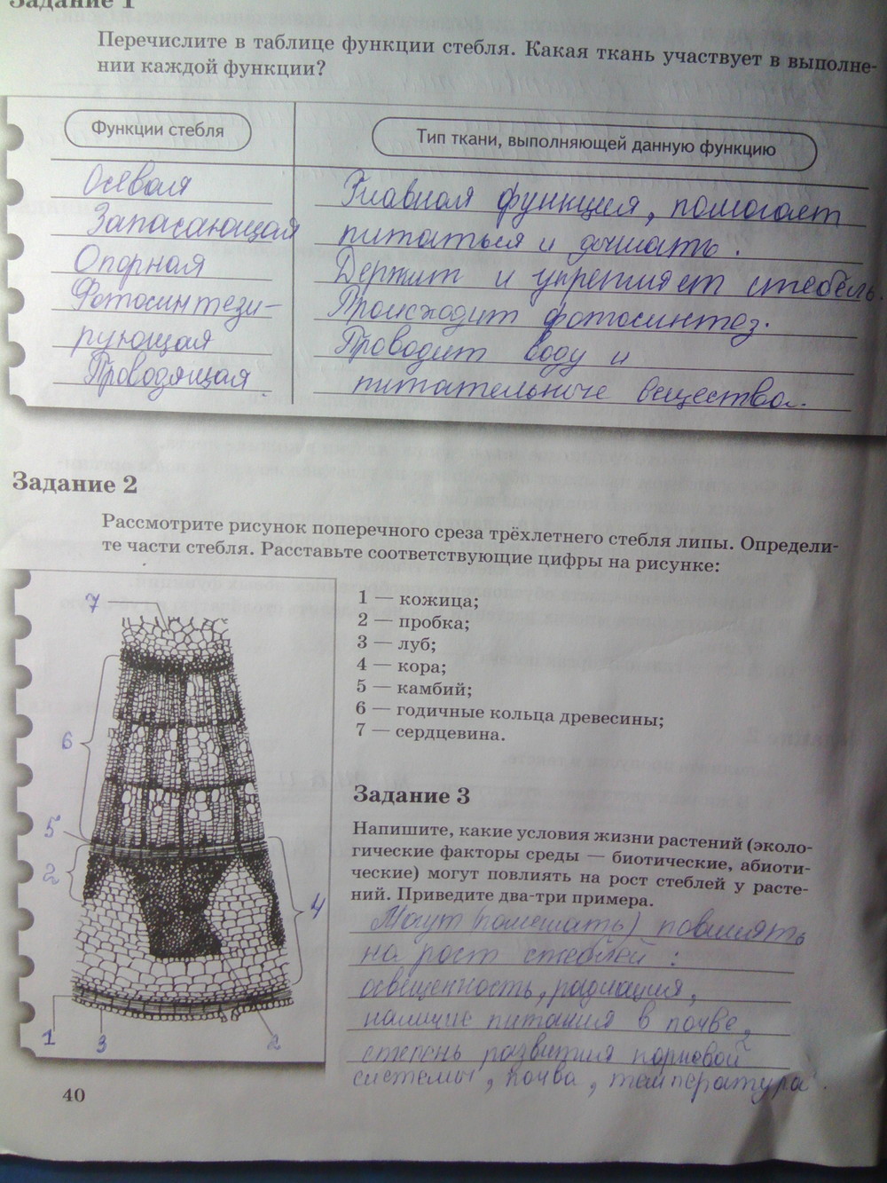 Страница (упражнение) 40 рабочей тетради. Страница 40 ГДЗ рабочая тетрадь по биологии 6 класс Пономарева