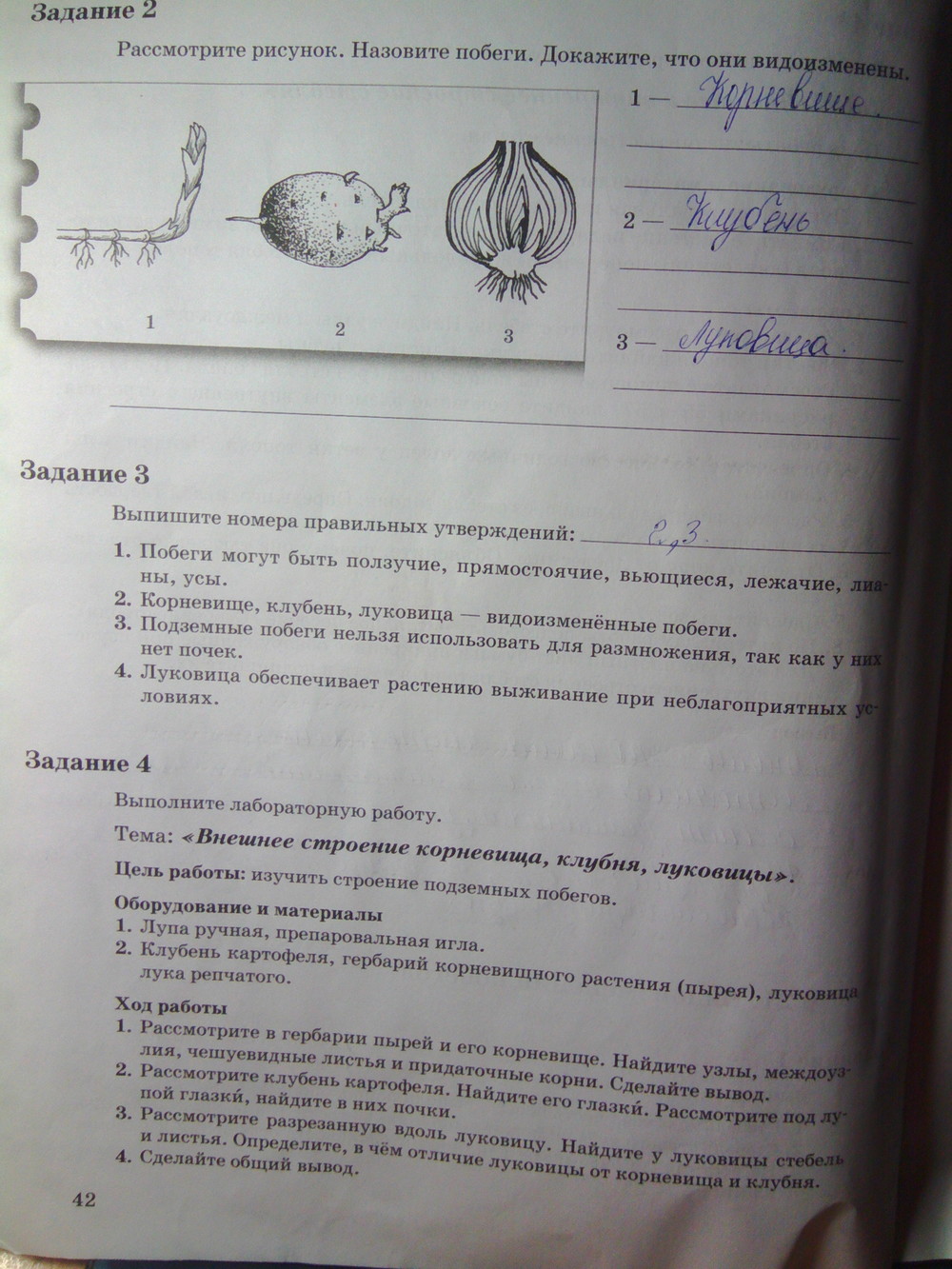 Страница (упражнение) 42 рабочей тетради. Страница 42 ГДЗ рабочая тетрадь по биологии 6 класс Пономарева