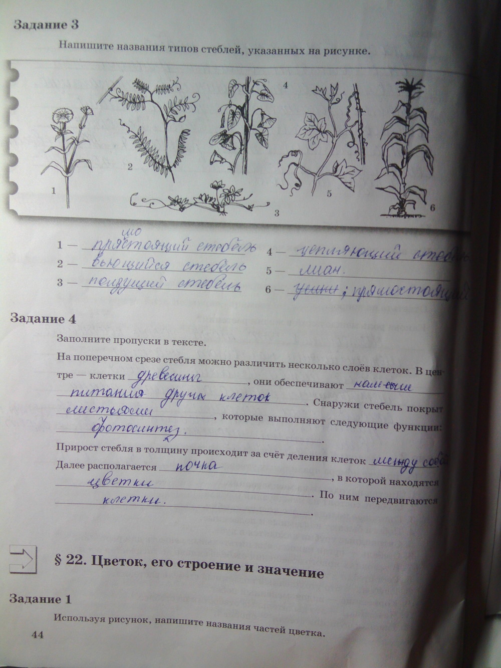Страница (упражнение) 44 рабочей тетради. Страница 44 ГДЗ рабочая тетрадь по биологии 6 класс Пономарева