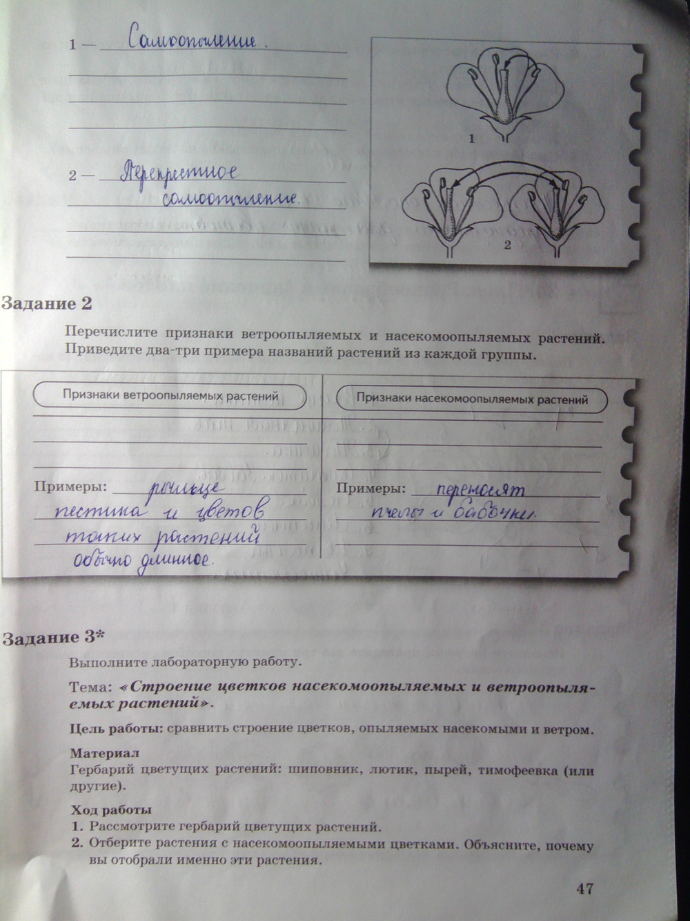 Пономарёва биология 6 класс рабочая тетрадь 1