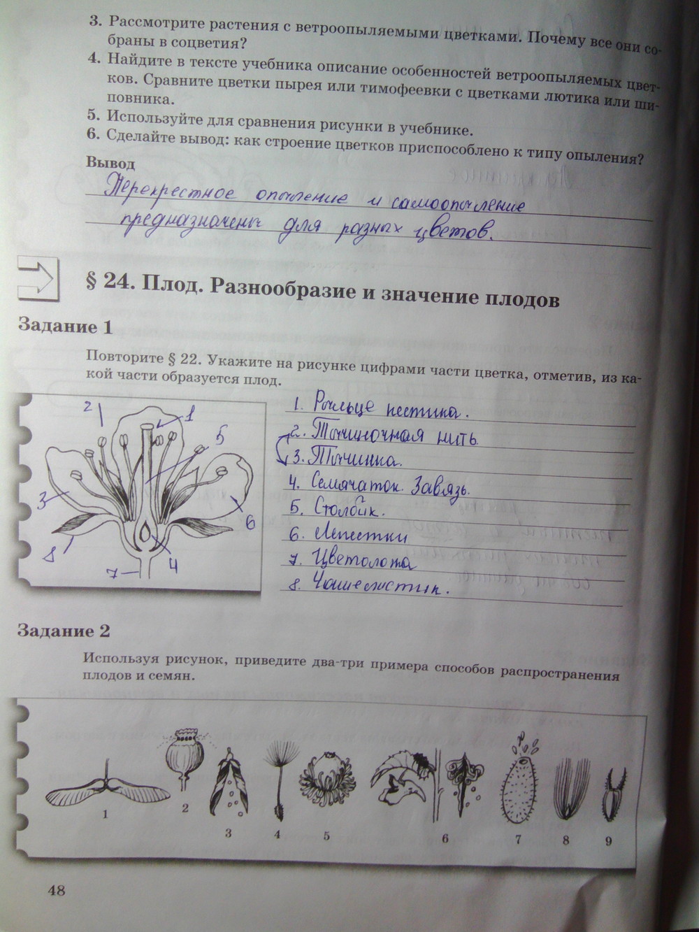 Страница (упражнение) 48 рабочей тетради. Страница 48 ГДЗ рабочая тетрадь по биологии 6 класс Пономарева