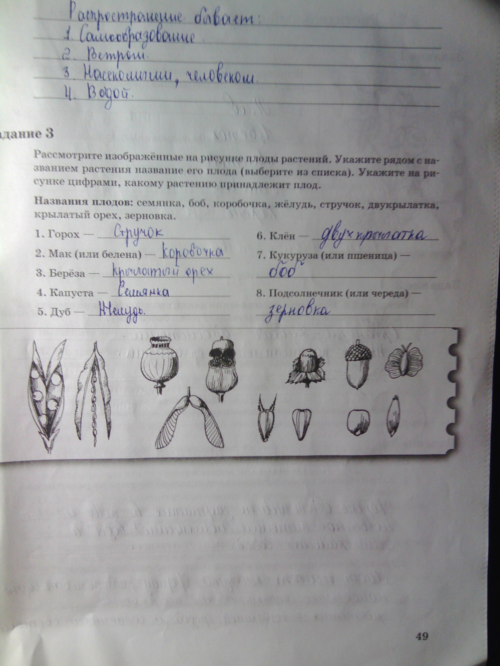 Страница (упражнение) 49 рабочей тетради. Страница 49 ГДЗ рабочая тетрадь по биологии 6 класс Пономарева