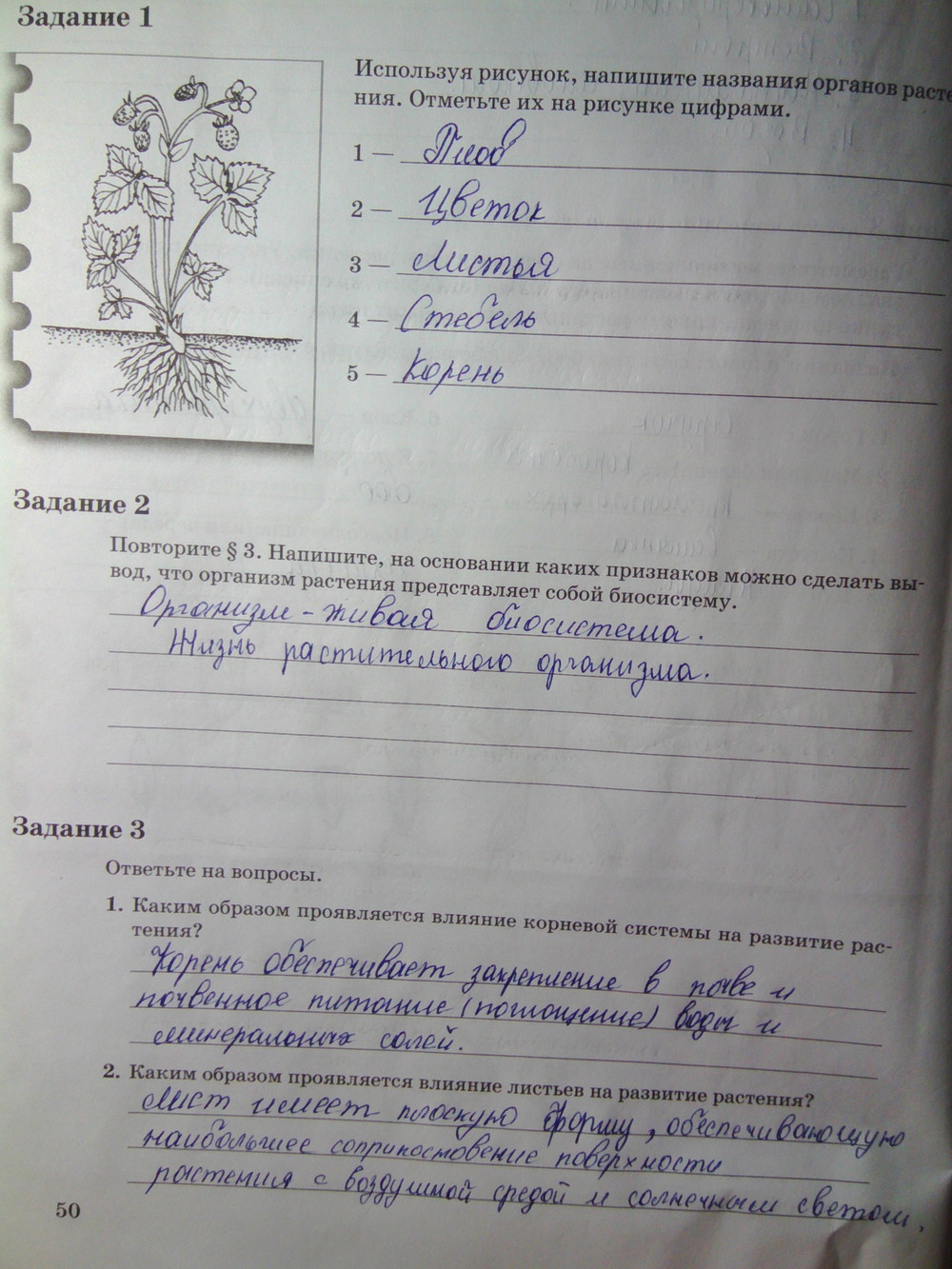Страница (упражнение) 50 рабочей тетради. Страница 50 ГДЗ рабочая тетрадь по биологии 6 класс Пономарева
