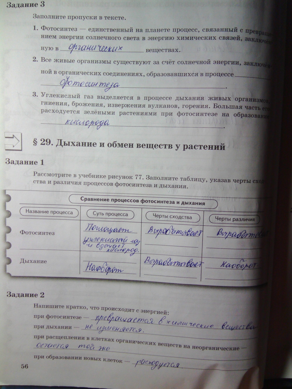 Страница (упражнение) 56 рабочей тетради. Страница 56 ГДЗ рабочая тетрадь по биологии 6 класс Пономарева