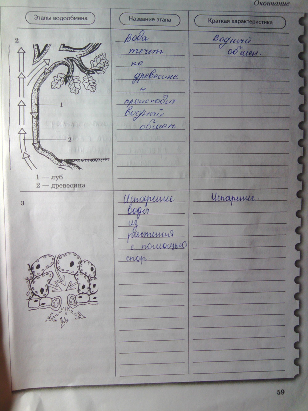 Страница (упражнение) 59 рабочей тетради. Страница 59 ГДЗ рабочая тетрадь по биологии 6 класс Пономарева