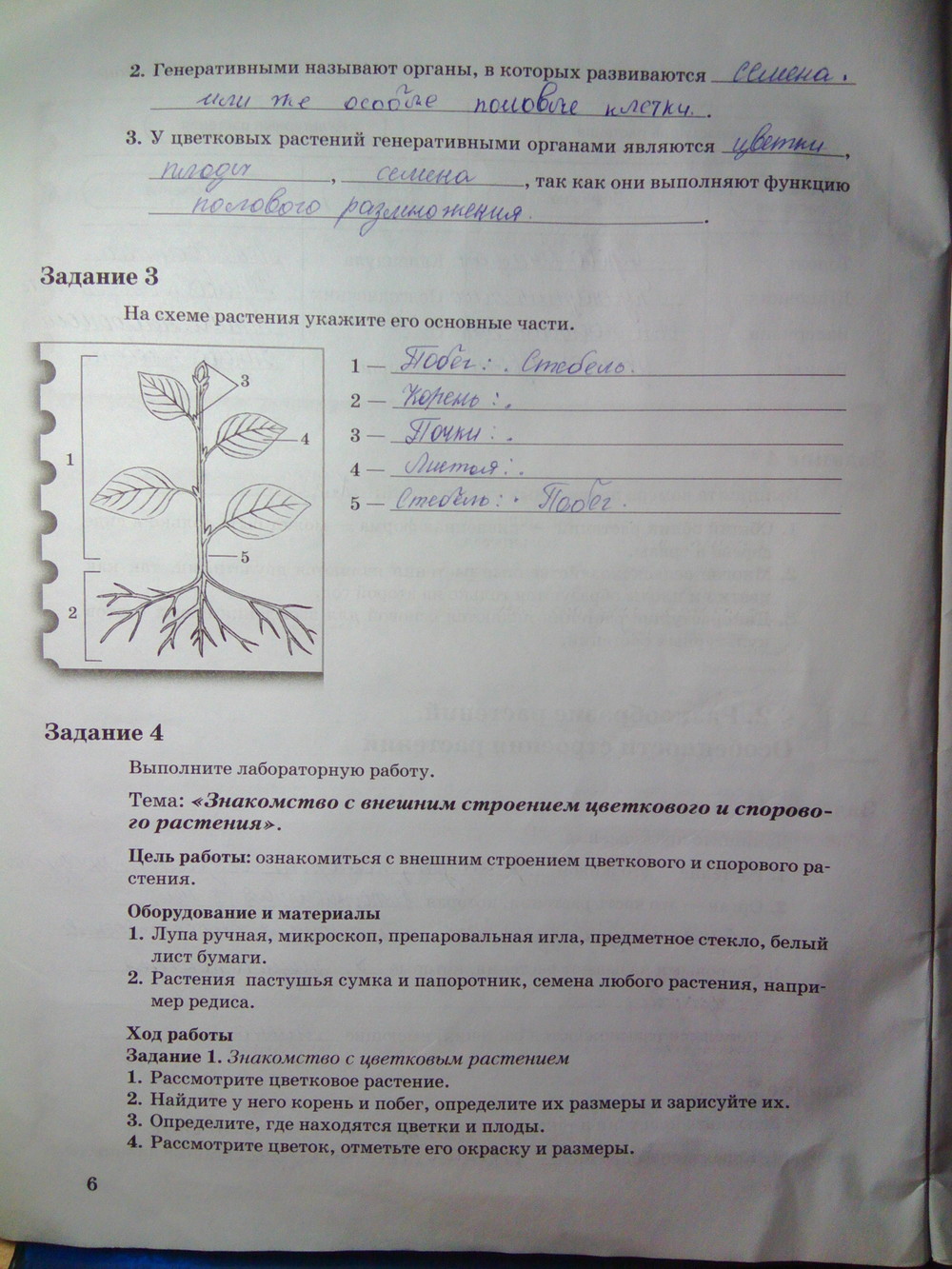 Страница (упражнение) 6 рабочей тетради. Страница 6 ГДЗ рабочая тетрадь по биологии 6 класс Пономарева