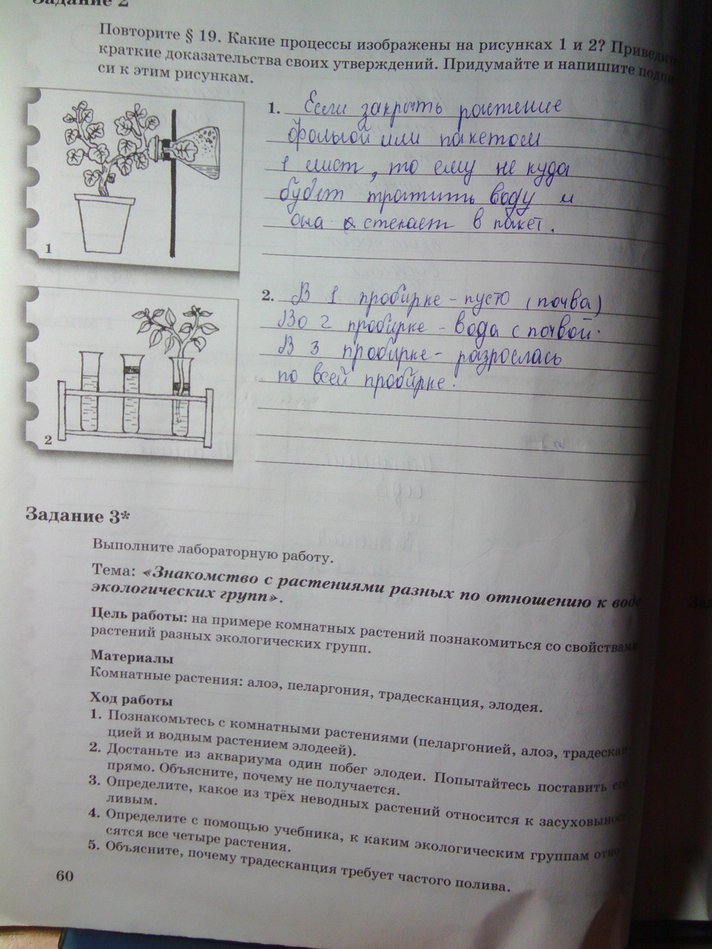 Страница (упражнение) 60 рабочей тетради. Страница 60 ГДЗ рабочая тетрадь по биологии 6 класс Пономарева