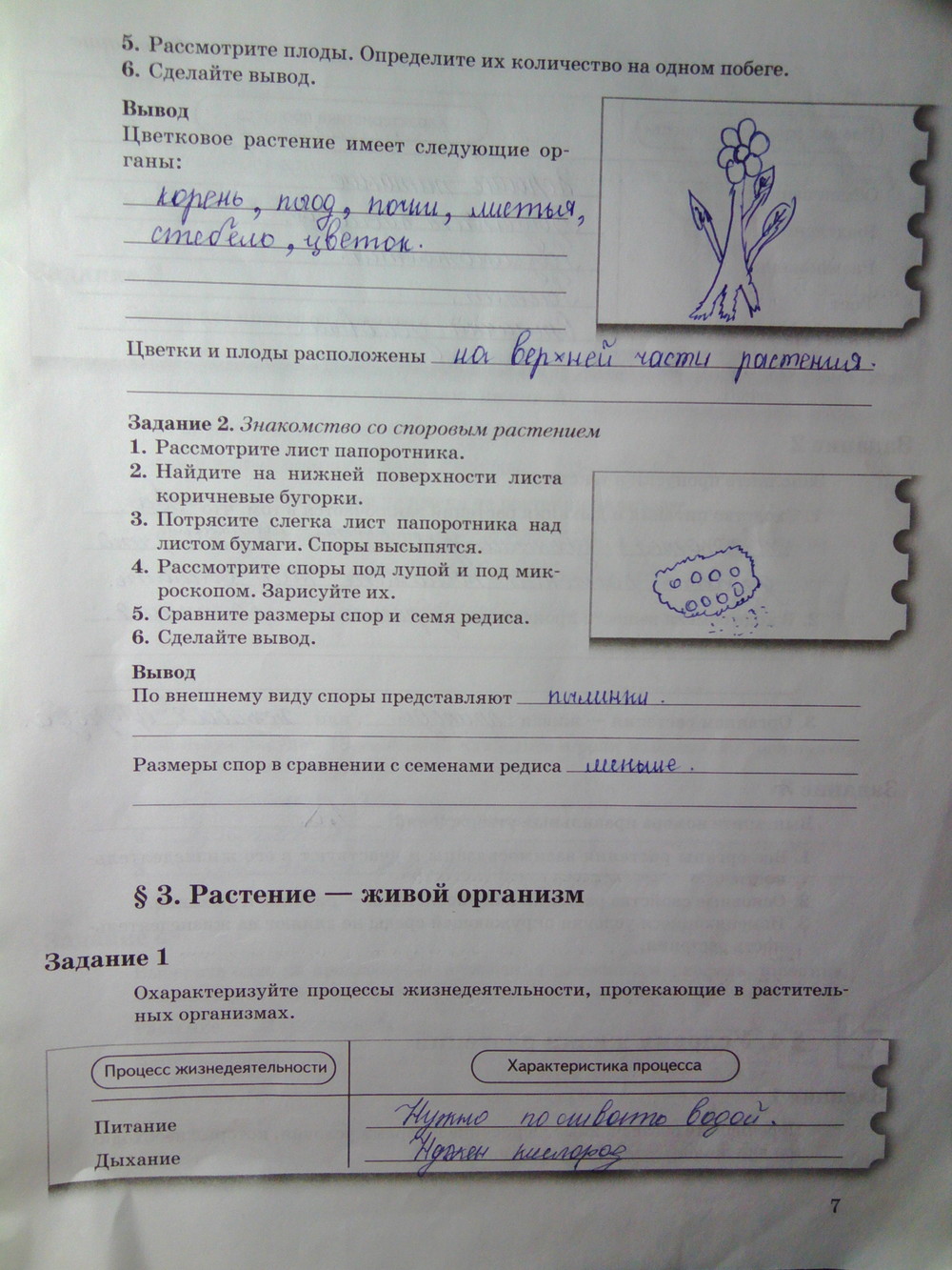 Страница (упражнение) 7 рабочей тетради. Страница 7 ГДЗ рабочая тетрадь по биологии 6 класс Пономарева