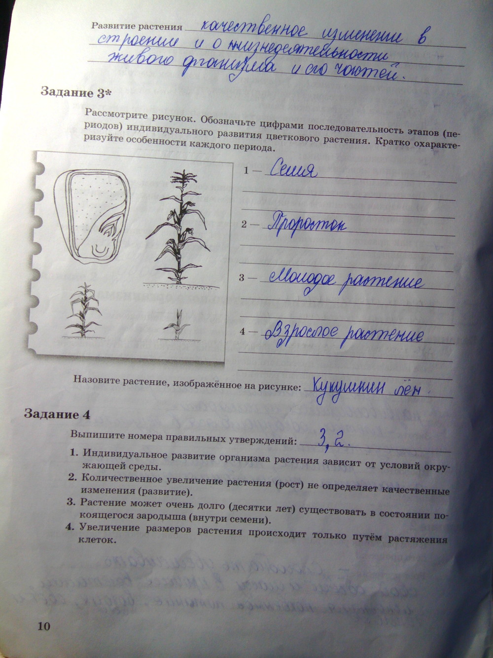 Страница (упражнение) 10 рабочей тетради. Страница 10 ГДЗ рабочая тетрадь по биологии 6 класс Пономарева