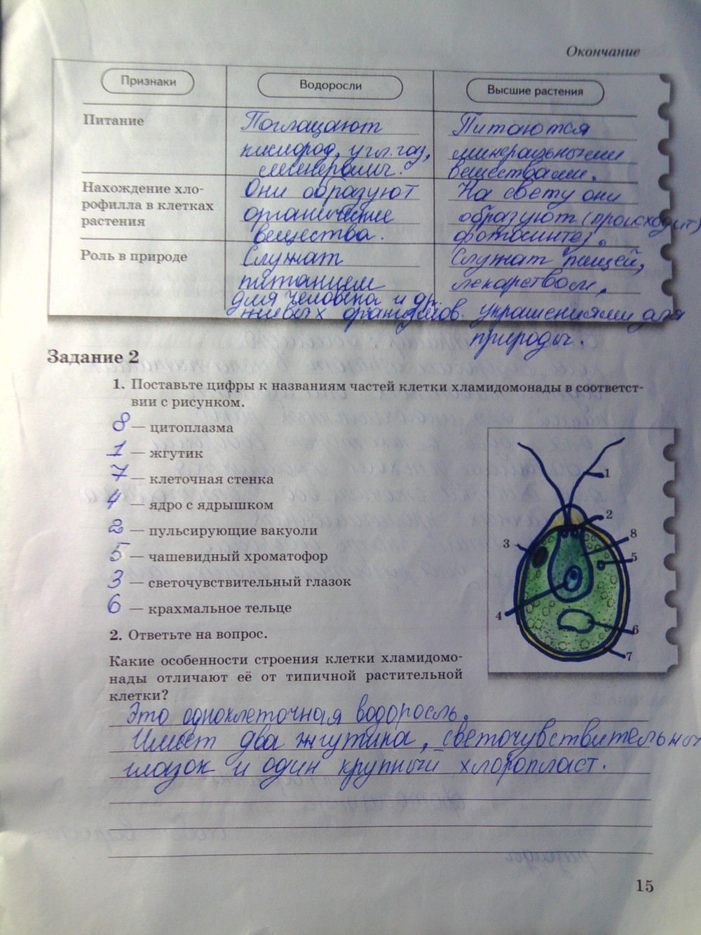 Страница (упражнение) 15 рабочей тетради. Страница 15 ГДЗ рабочая тетрадь по биологии 6 класс Пономарева