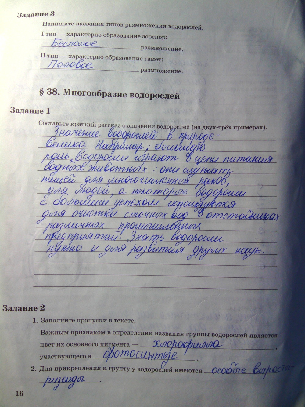 Страница (упражнение) 16 рабочей тетради. Страница 16 ГДЗ рабочая тетрадь по биологии 6 класс Пономарева