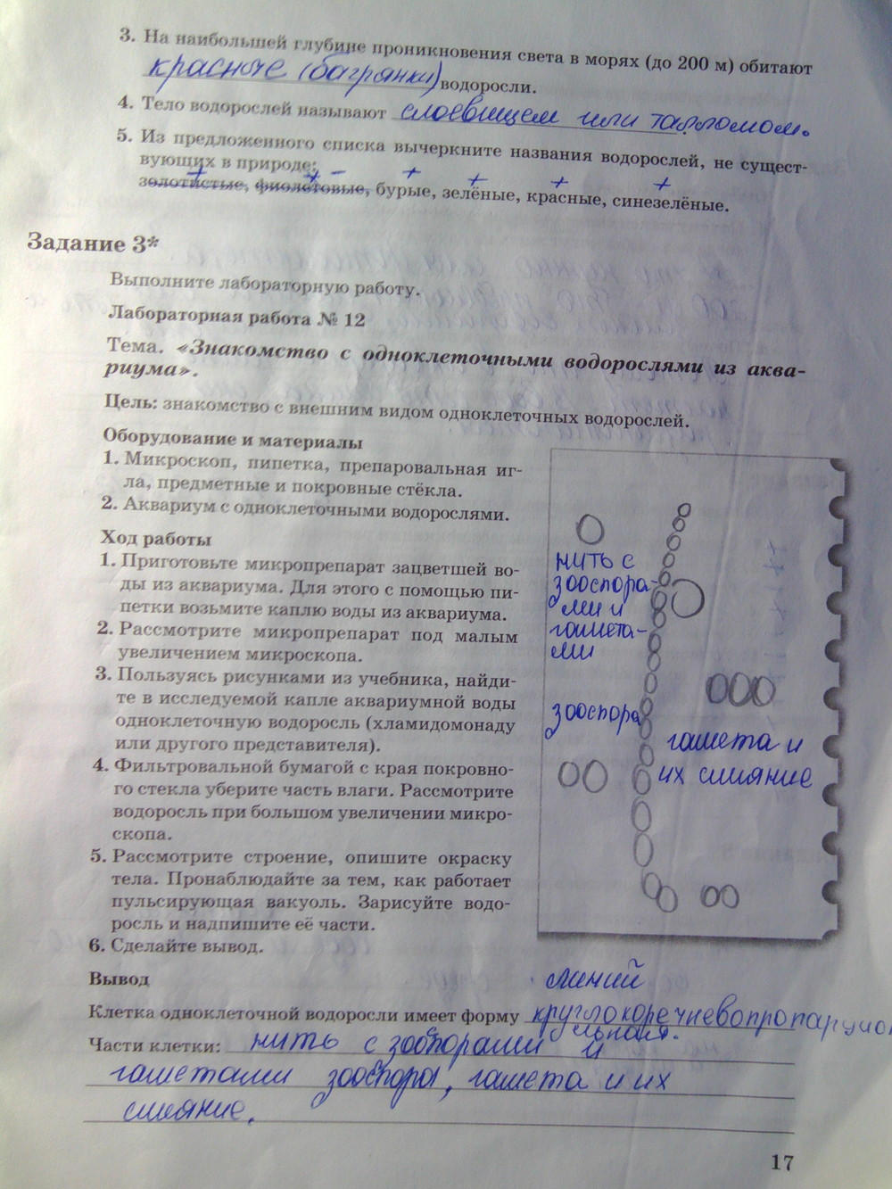 Страница (упражнение) 17 рабочей тетради. Страница 17 ГДЗ рабочая тетрадь по биологии 6 класс Пономарева