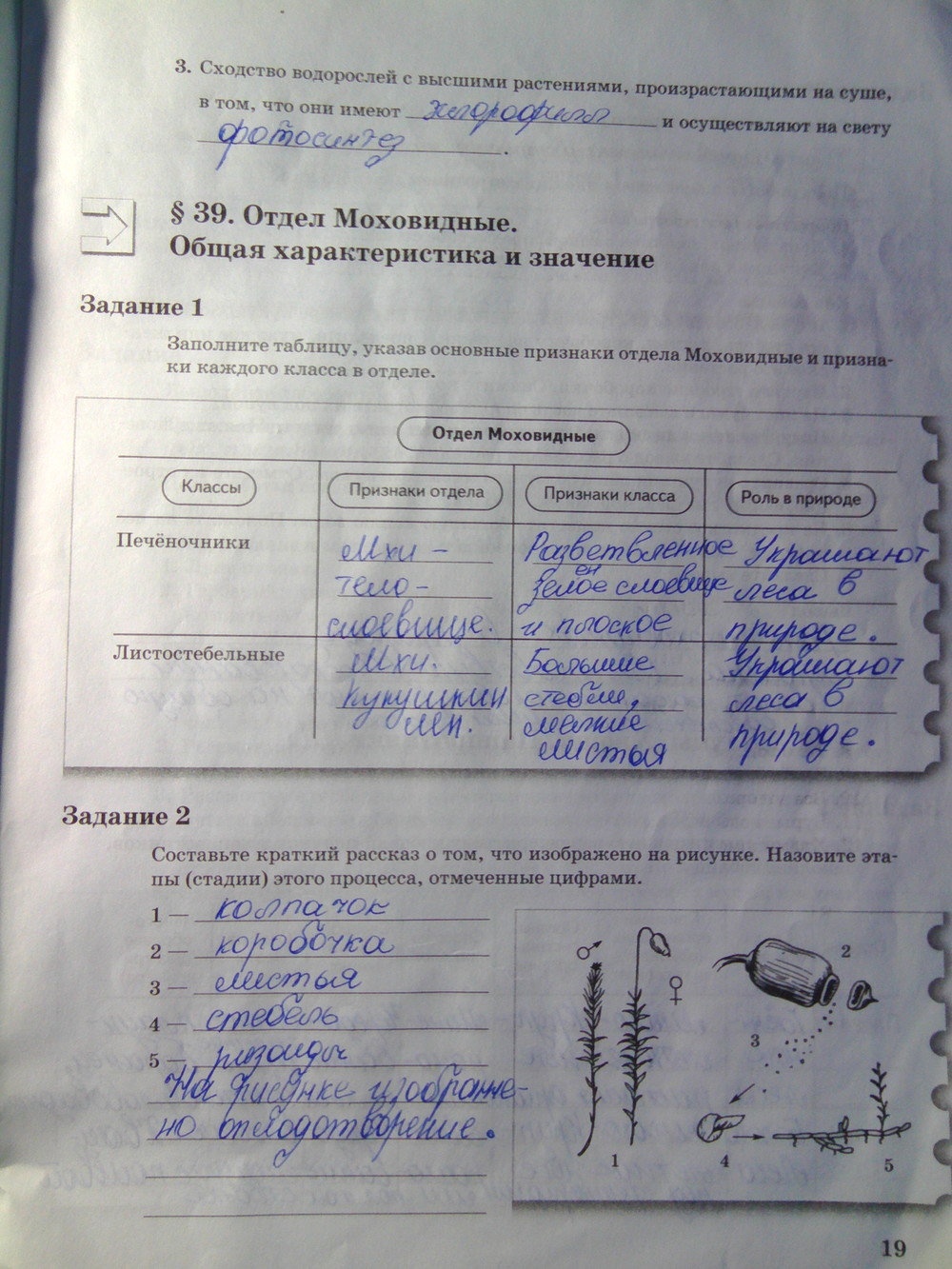 Страница (упражнение) 19 рабочей тетради. Страница 19 ГДЗ рабочая тетрадь по биологии 6 класс Пономарева