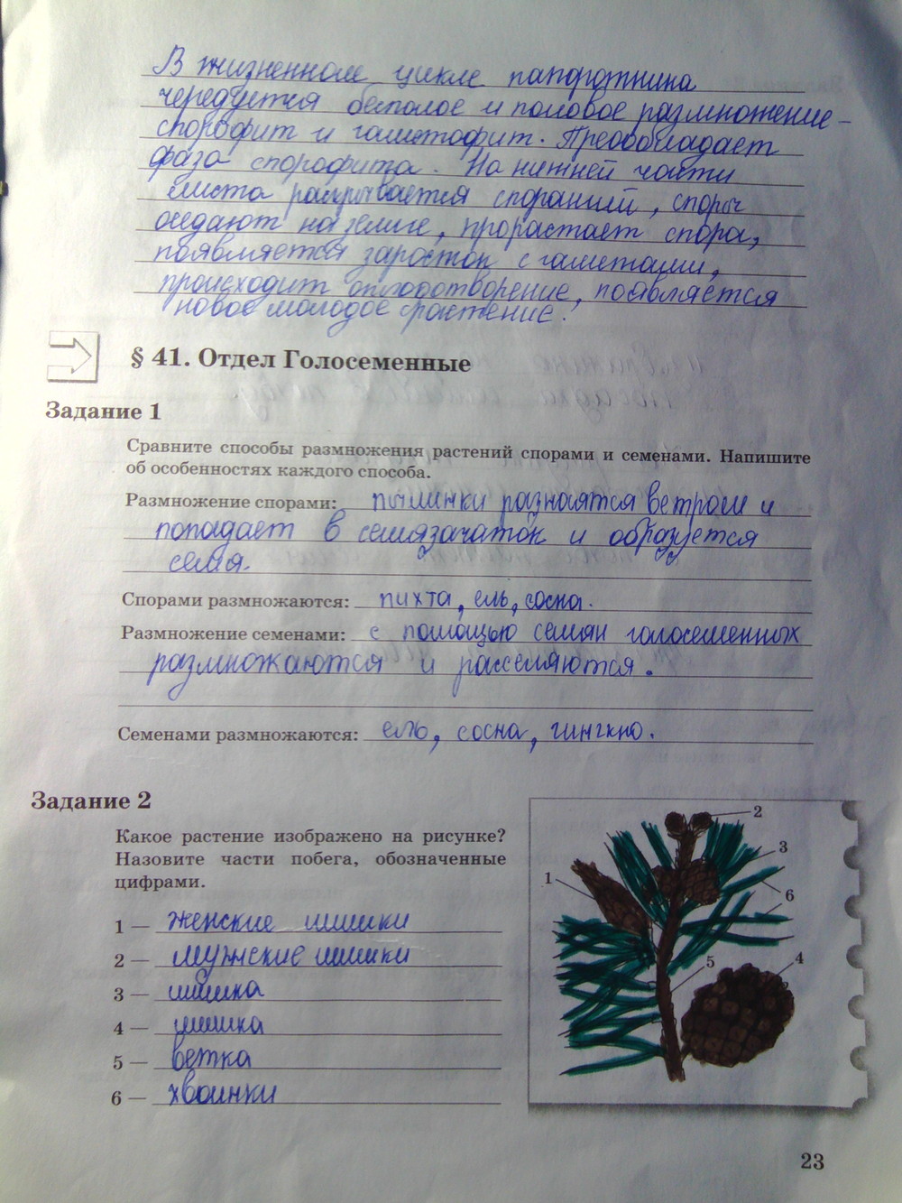 Страница (упражнение) 23 рабочей тетради. Страница 23 ГДЗ рабочая тетрадь по биологии 6 класс Пономарева