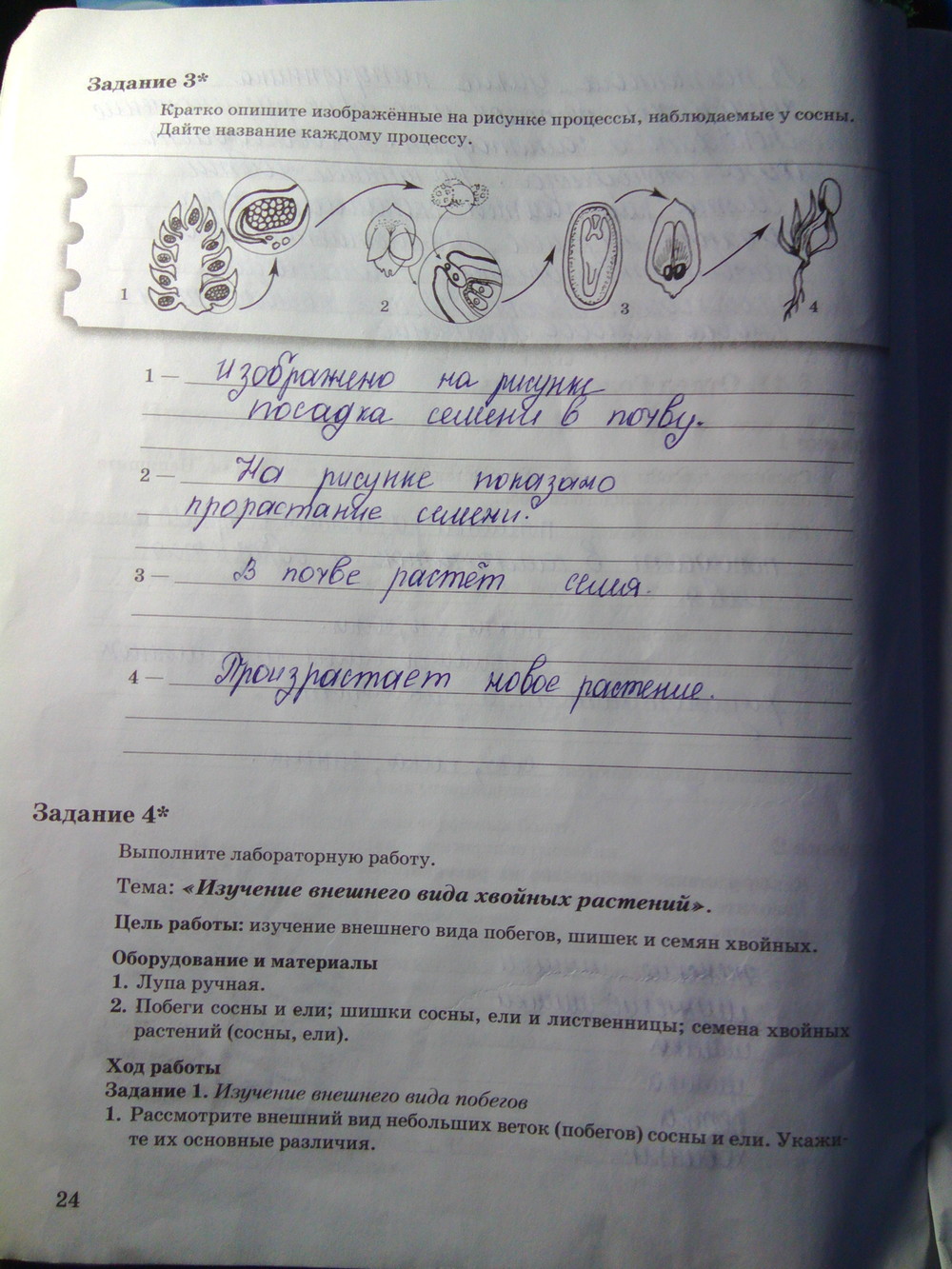 Страница (упражнение) 24 рабочей тетради. Страница 24 ГДЗ рабочая тетрадь по биологии 6 класс Пономарева