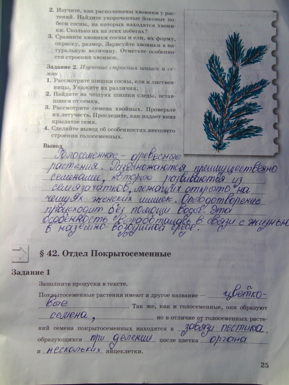 Страница (упражнение) 25 рабочей тетради. Страница 25 ГДЗ рабочая тетрадь по биологии 6 класс Пономарева