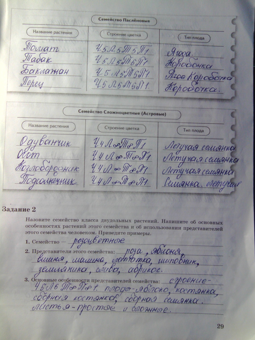 Страница (упражнение) 29 рабочей тетради. Страница 29 ГДЗ рабочая тетрадь по биологии 6 класс Пономарева