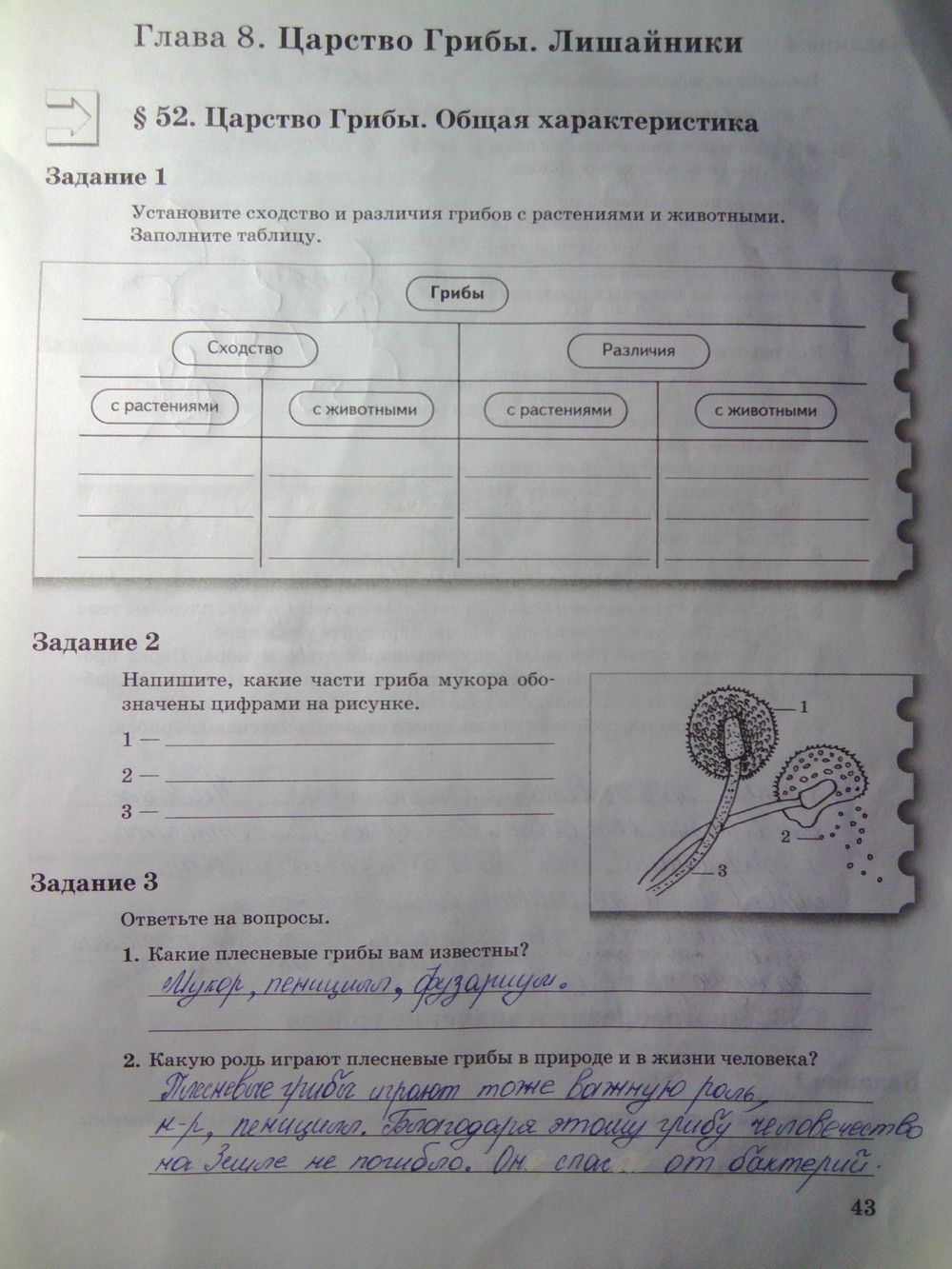 Страница (упражнение) 43 рабочей тетради. Страница 43 ГДЗ рабочая тетрадь по биологии 6 класс Пономарева