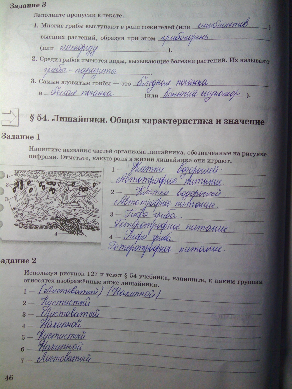 Страница (упражнение) 46 рабочей тетради. Страница 46 ГДЗ рабочая тетрадь по биологии 6 класс Пономарева