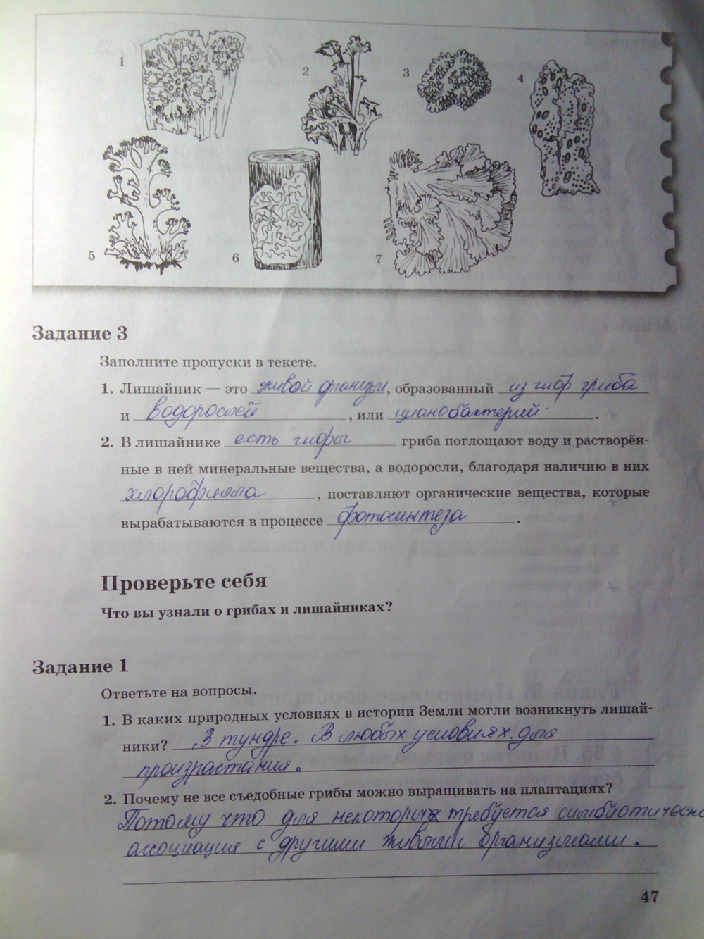 Страница (упражнение) 47 рабочей тетради. Страница 47 ГДЗ рабочая тетрадь по биологии 6 класс Пономарева