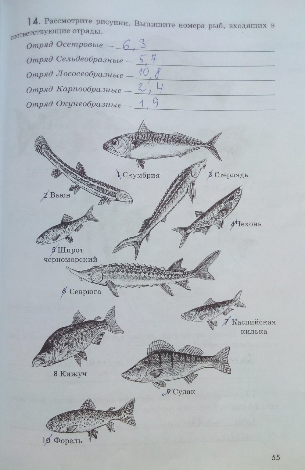 Контрольная по теме рыбы 7 класс