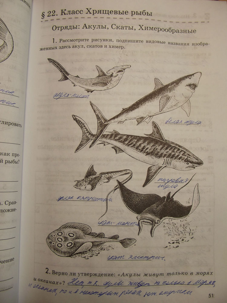 Биология 7 класс параграф рыбы