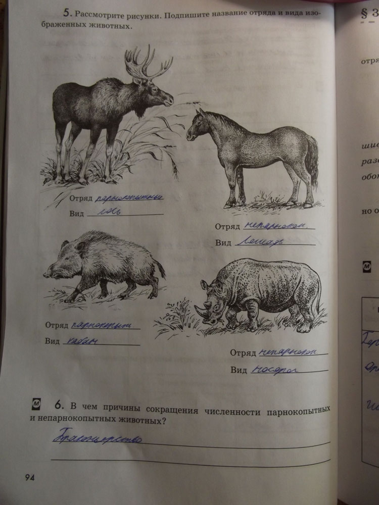 Тест по теме млекопитающие 7 класс биология. Биология 7 класс животные. Млекопитающие рабочая тетрадь. Подпишите названия изображенных животных. Класс млекопитающие проверочные задания.