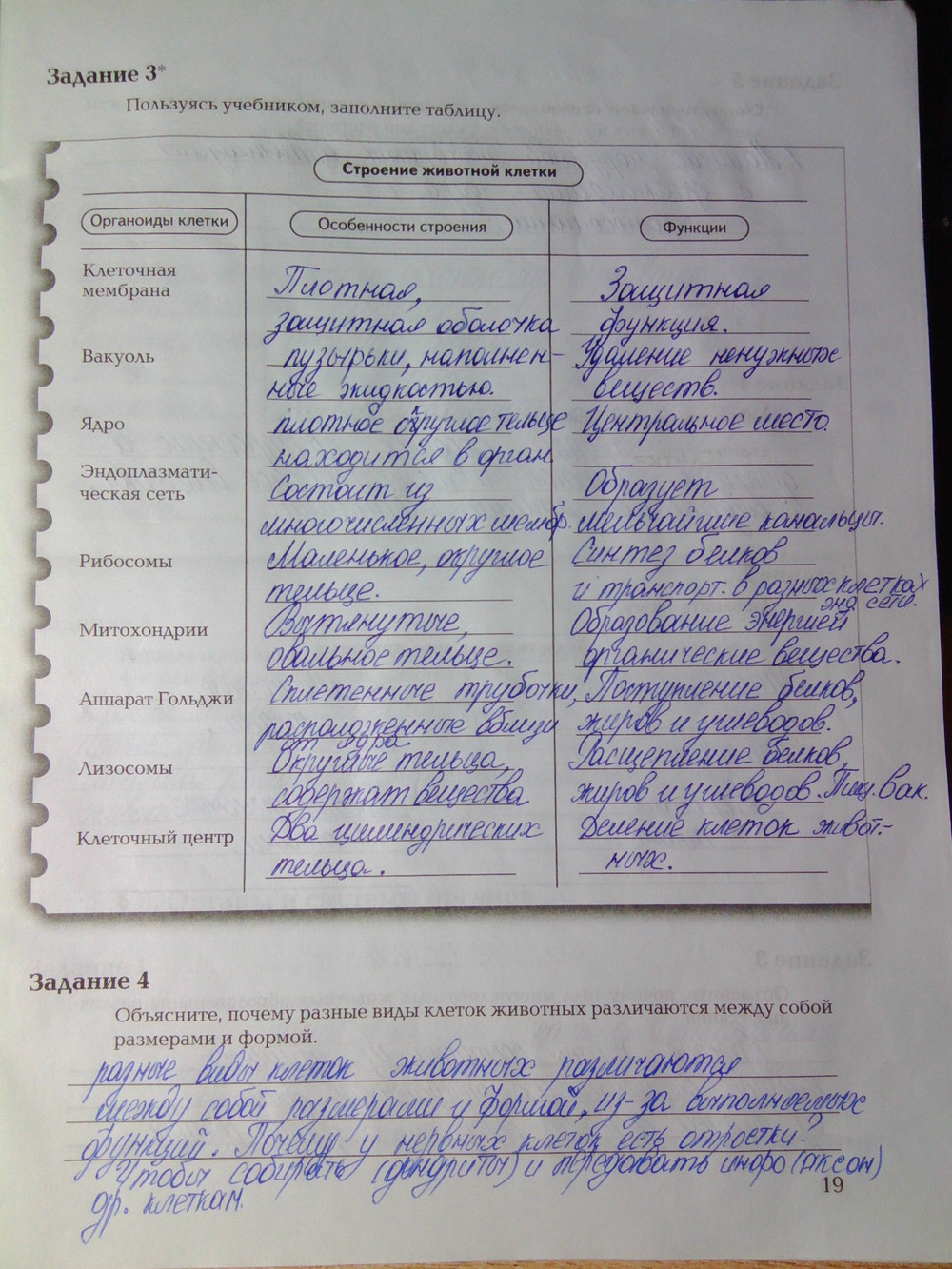 Страница (упражнение) 19 рабочей тетради. Ответ на вопрос упражнения 19 ГДЗ рабочая тетрадь по биологии 7 класс Суматохин, Кучменко