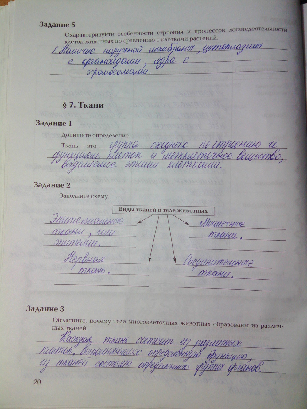 Страница (упражнение) 20 рабочей тетради. Ответ на вопрос упражнения 20 ГДЗ рабочая тетрадь по биологии 7 класс Суматохин, Кучменко