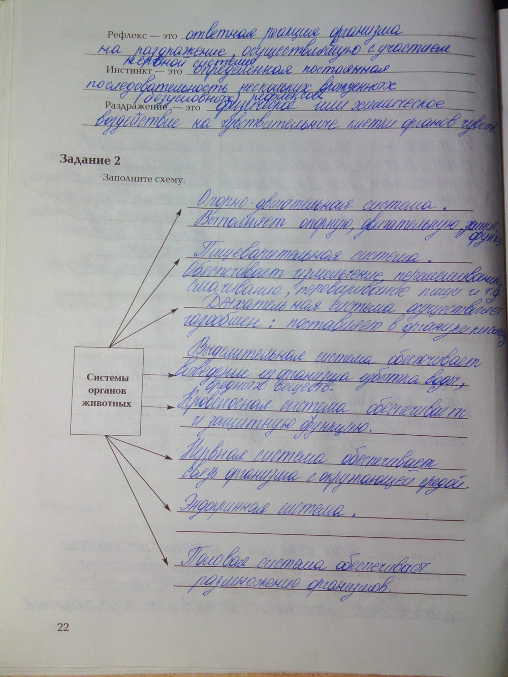 Страница (упражнение) 22 рабочей тетради. Ответ на вопрос упражнения 22 ГДЗ рабочая тетрадь по биологии 7 класс Суматохин, Кучменко