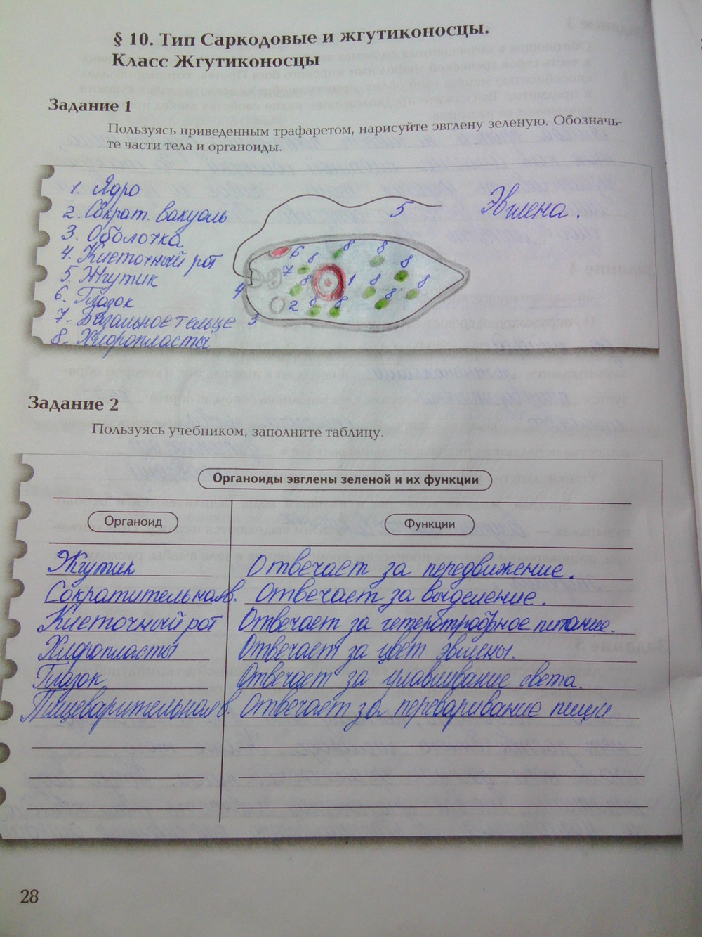 Страница (упражнение) 28 рабочей тетради. Ответ на вопрос упражнения 28 ГДЗ рабочая тетрадь по биологии 7 класс Суматохин, Кучменко