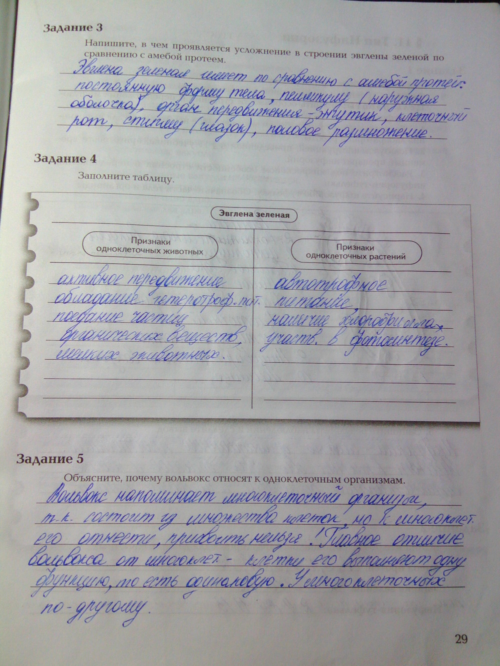 Страница (упражнение) 29 рабочей тетради. Ответ на вопрос упражнения 29 ГДЗ рабочая тетрадь по биологии 7 класс Суматохин, Кучменко