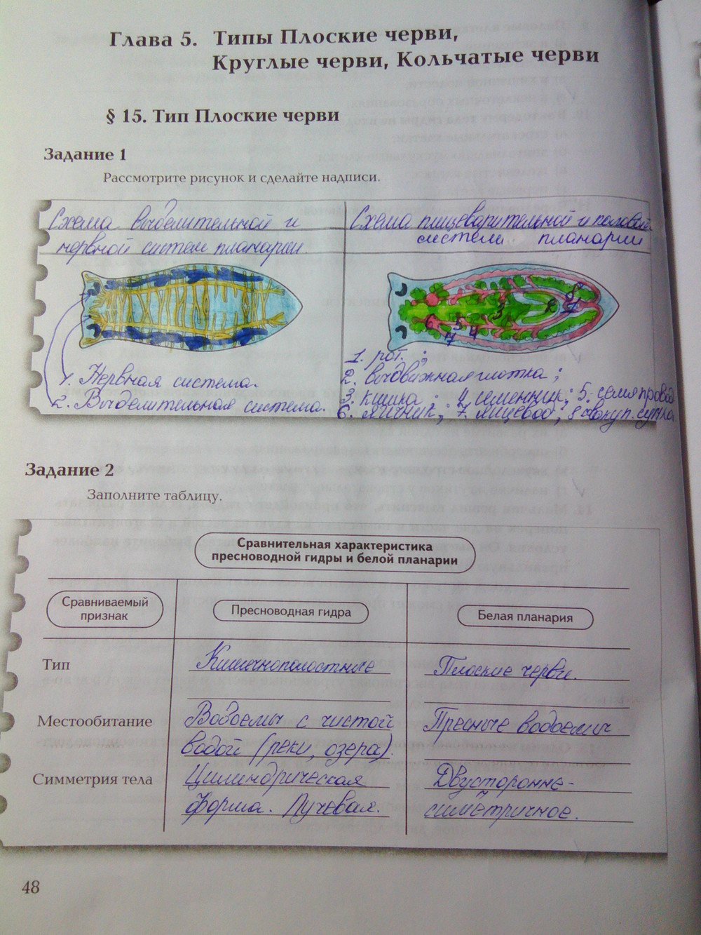 Страница (упражнение) 48 рабочей тетради. Ответ на вопрос упражнения 48 ГДЗ рабочая тетрадь по биологии 7 класс Суматохин, Кучменко