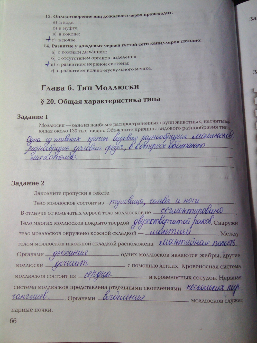 Страница (упражнение) 66 рабочей тетради. Ответ на вопрос упражнения 66 ГДЗ рабочая тетрадь по биологии 7 класс Суматохин, Кучменко