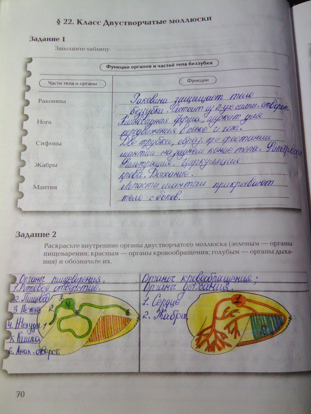 Страница (упражнение) 70 рабочей тетради. Ответ на вопрос упражнения 70 ГДЗ рабочая тетрадь по биологии 7 класс Суматохин, Кучменко