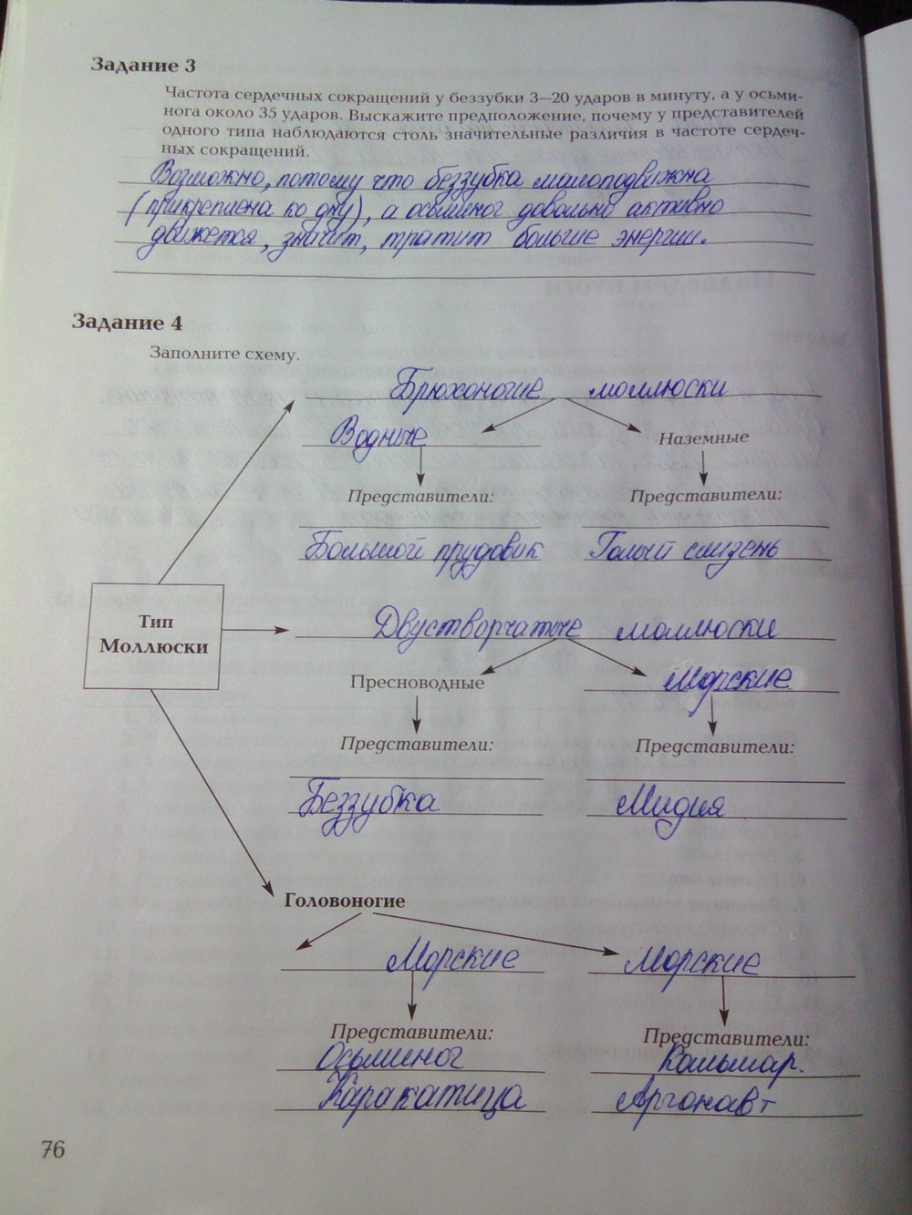 Страница (упражнение) 76 рабочей тетради. Ответ на вопрос упражнения 76 ГДЗ рабочая тетрадь по биологии 7 класс Суматохин, Кучменко
