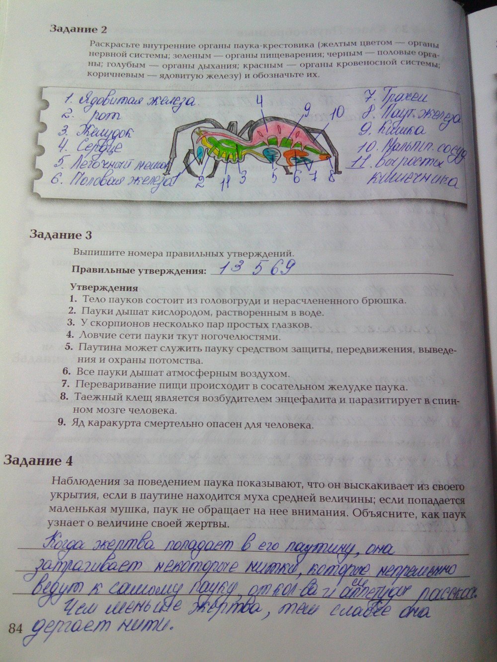 Страница (упражнение) 84 рабочей тетради. Ответ на вопрос упражнения 84 ГДЗ рабочая тетрадь по биологии 7 класс Суматохин, Кучменко