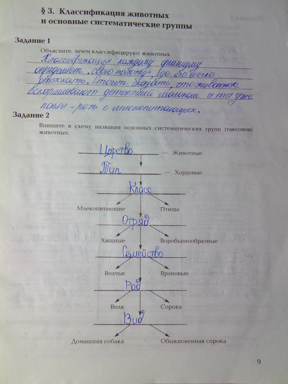 Страница (упражнение) 9 рабочей тетради. Ответ на вопрос упражнения 9 ГДЗ рабочая тетрадь по биологии 7 класс Суматохин, Кучменко