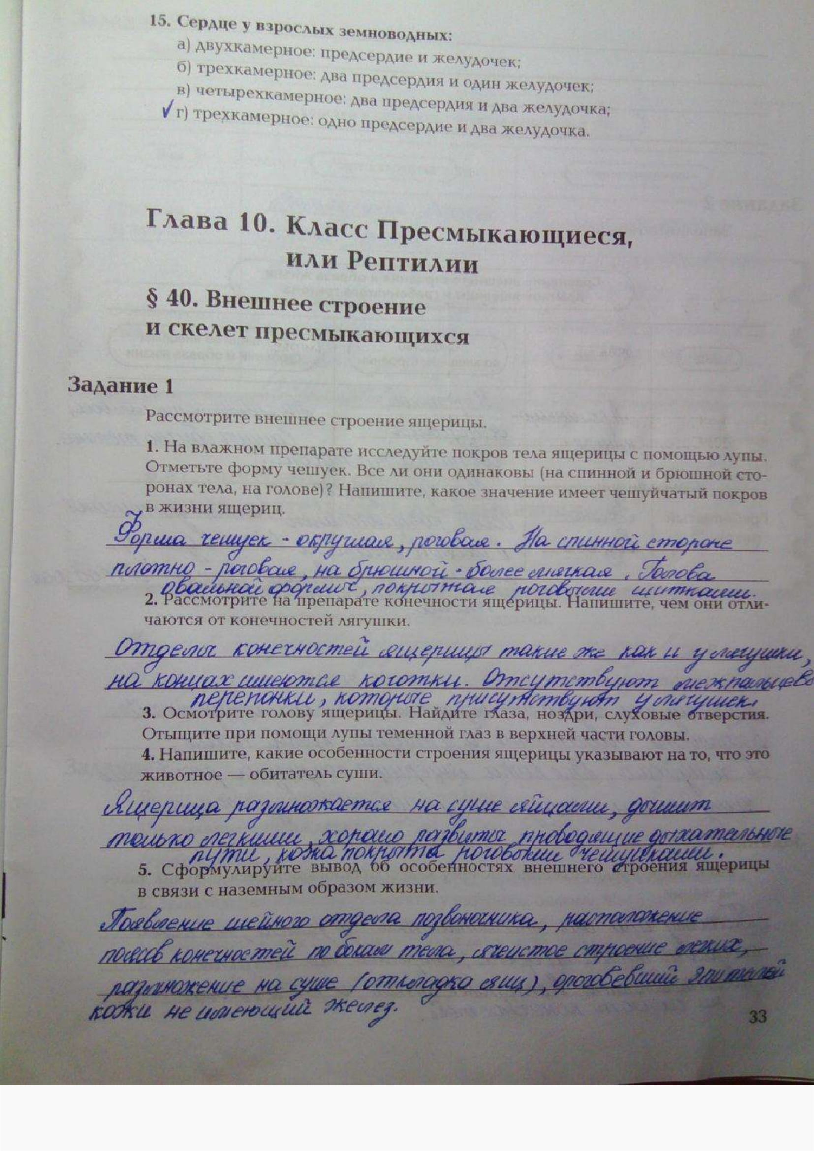 Страница (упражнение) 33 рабочей тетради. Ответ на вопрос упражнения 33 ГДЗ рабочая тетрадь по биологии 7 класс Суматохин, Кучменко