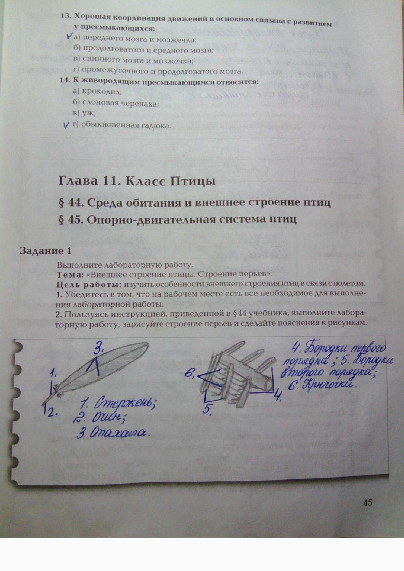 Страница (упражнение) 45 рабочей тетради. Ответ на вопрос упражнения 45 ГДЗ рабочая тетрадь по биологии 7 класс Суматохин, Кучменко